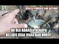 Download Lagu Kenapa burung belibis saya bisa jinak dan nurut ini rahasianya
