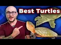 The BEST Pet Turtles You Probably Never Thought About