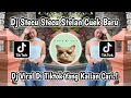 Download Lagu DJ KALAU MEMANG COCOK BISA DATANG KERUMAH - DJ STECU STELAN CUEK REMIX VIRAL TIKTOK TERBARU 2024