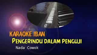 Download Karaoke iban pengerindu dalam penguji version dangdut MP3