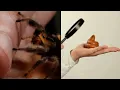 The Weirdest Scientific Studies We ve Ever Seen