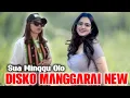 Lagu DISKO MANGGARAI 2026 || Cvr. Inkoz Raca (official Video)