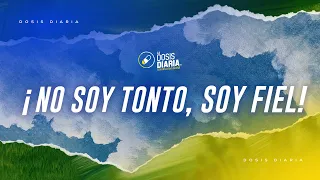 Dosis Diaria Roka - ¡No soy tonto, soy fiel!