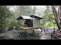 Download Lagu CAMPING HUJAN DERAS - MEMBANGUN SHELTER DI ATAS AIR DI DALAM HUTAN