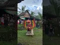 Lagu BARONG PREJENG #culture #osing #banyuwangi #jaranan #jarananbanyuwangi #lintangjoyokusumo