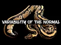 The Variability of the Normal Ball Python