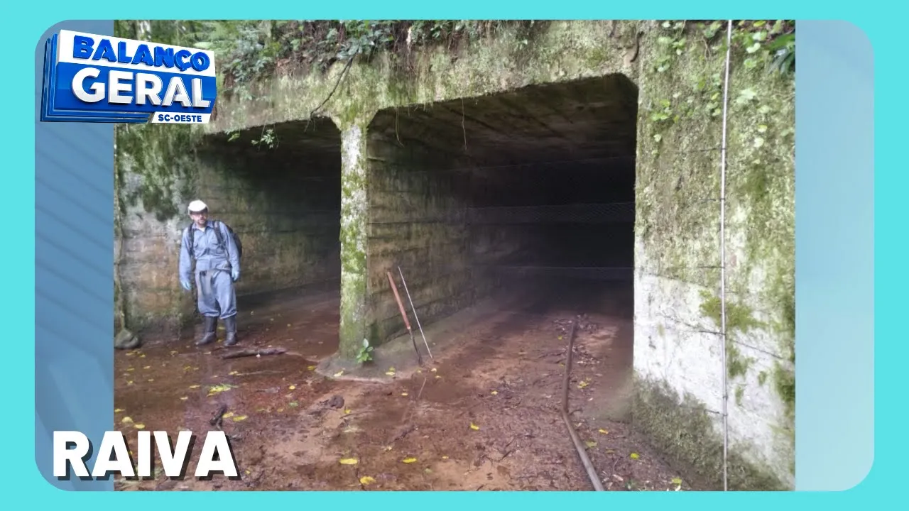 Vacinação contra a raiva em Cães e Gatos será amanhã em Chapecó