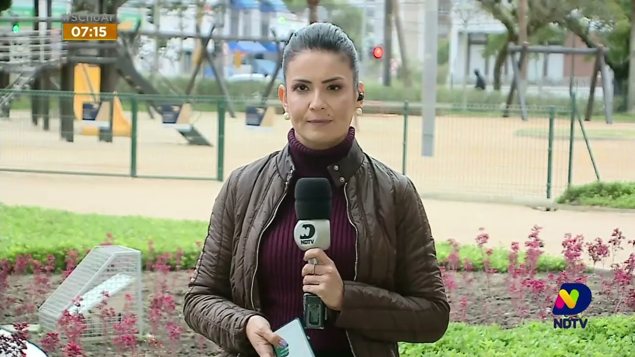 Aumento no número de casos de dengue em SC ainda preocupa a secretaria da saúde