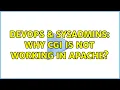 DevOps SysAdmins Why CGI is not working in apache 2 Solutions