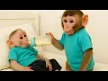 Monkey Lily is Sick! Her Family Takes Great Care of Her! | MONKEY LILY TDC