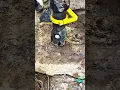 Download Lagu Test the hydraulic stone hammer- Good tools and machinery make work easy