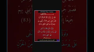 سورة يوسف سورة 12 اية 84 83  سورة يوسف سورة 12 اية 84 83