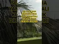Download Lagu #seorang pria menggali kubur untuk dirinya sendiri #kisahislami #seputardakwah