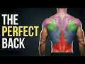 The ONLY 3 Exercises You Need to Build a PERFECT Back Science Based Workout