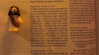 1 Corinthians 3-4 NLT ASMR Bible Reading