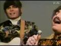Turtles - Happy Together
