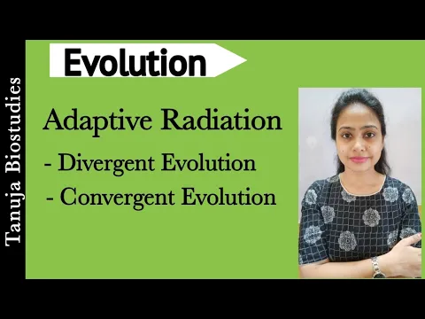 Download MP3 Evolution - Adaptive Radiation |Divergent Evolution Vs Convergent Evolution | Galapagos Island |NEET