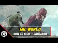 Monster Hunter World How to Slay Series - Odoragon Tips and Tricks Gaming Instincts