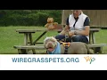 Wiregrass Pets Home At Last Capital Campaign Buy A Brick With Mike Schmitz