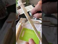 Papyrus Paper Making - How to Harvest and Prepare - Part 1
