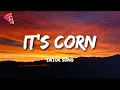 it s corn kid tiktok song it s corn a big lump of knobs