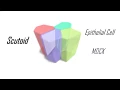 Scutoid