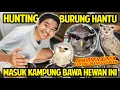 Lagu MASUK PERKAMPUNGAN DEMI JEMPUT BAYI BURUNG HANTU IMPIAN! HUNTING BUBO SUMATRANUS! HEWAN BARU AKU!