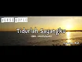 Download Lagu Tidurlah Sayangku Versi Koplo Viral Tiktok 2021