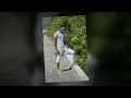 DEXTA DAPS - GET HIGH (DASECA PRODUCTIONS)