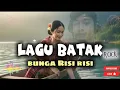 Bunga Risi Risi || Versi Rock|| Lagu Batak 2025||Nikmati saat santai