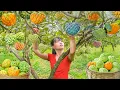 Download Lagu TIMELAPSE -- 289 Days Harvesting 999Kg Unique Tropical Custard Apples, Banana,... Go to Market Sell