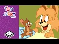 Puppy vs The Birt ay Cake Tom Jerry Show Boomerang UK