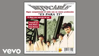 Intocable - Voy A Tener Que Olvidarla (Visualizer)