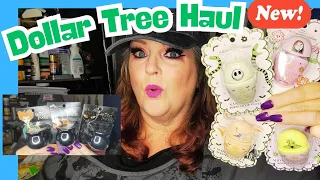 NEW DOLLAR TREE HAUL LOOK AT THIS August 28 2026