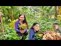 Download Lagu ANG MASARAP NA ALMUSAL SA PROBINSYA