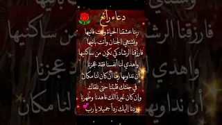 سورة الاخلاص بصوت المقرئ أحمد خضر 