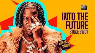 stonebwoy drops music video for into the future and we are loving it 