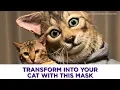 Video di Transform your cat with this ultra-realistic mask