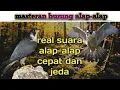 Download Lagu suara burung alap alap-alap 2021 (suara burung)