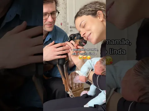 Apresentando a nossa bebê para os irmãos de quatro patas @larissagloor #shorts