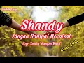 Download Lagu Shandy - Jangan Sampai Berpisah (Video Lirik) #Shandy #JanganSampaiBerpisah #dodhykangen