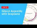 How to Simulate Gibson Assembly in SnapGene