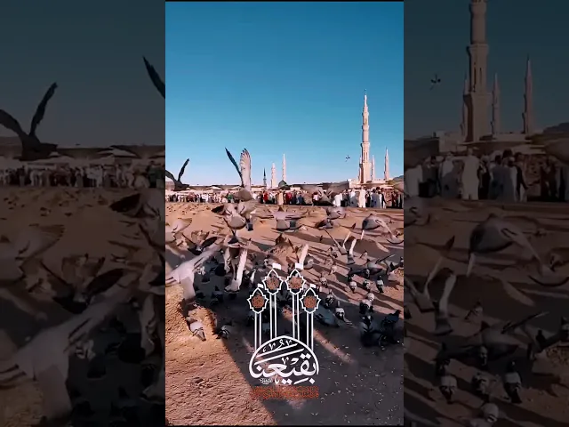 سلامُ اللهِ وملائكتهِ وأنبيائهِ ورسلهِ على أئمةِ البقيعِ، ورحمةُ اللهِ وبركاتهُ