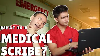 What is a MEDICAL SCRIBE