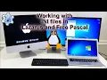 Working with INI files in Lazarus and Free Pascal