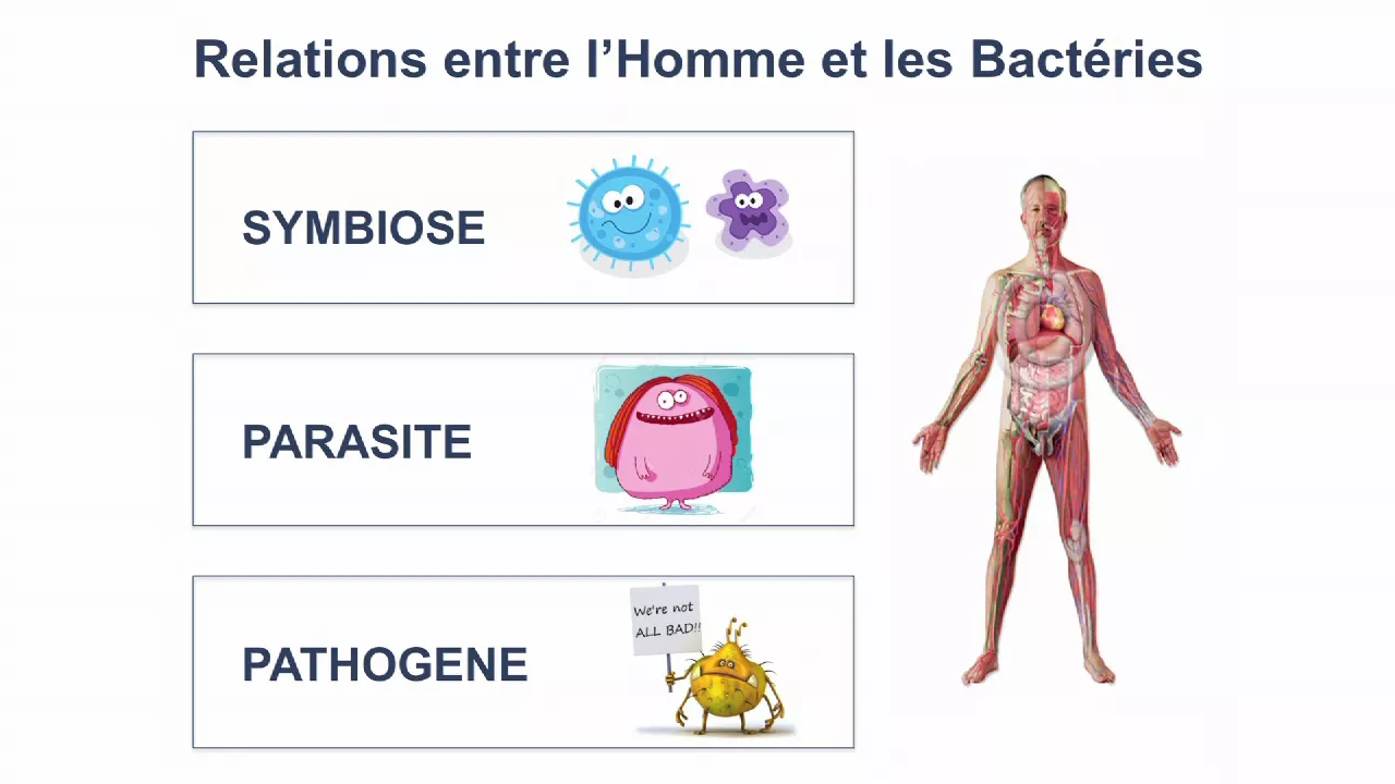 Le microbiote intestinal au service de notre santé