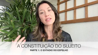 Videoaula 2: Constituição do Sujeito - Parte 1: Estádio do Espelho