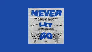 Jung Kook Never Let Go Official Audio  Jung Kook Never Let Go Official Audio