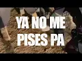 Ya no me Pises pa