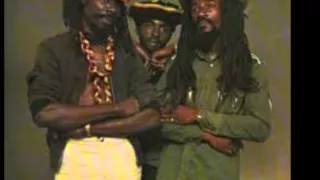 culture payday hav e hav e where the tree falls cape coast ja